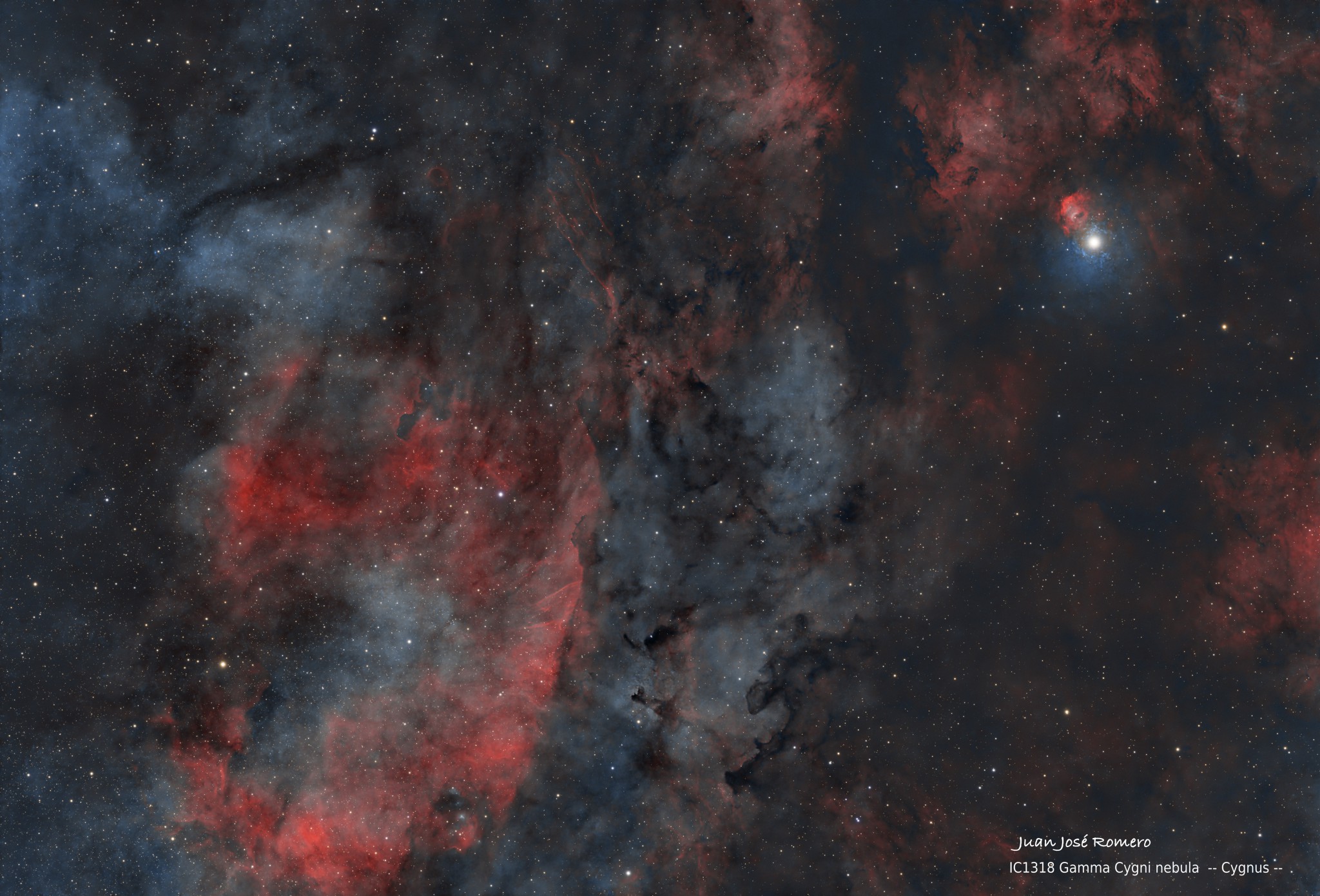IC1318 – Nebulosa Gamma Cygni (entorn de 37 Cygni)