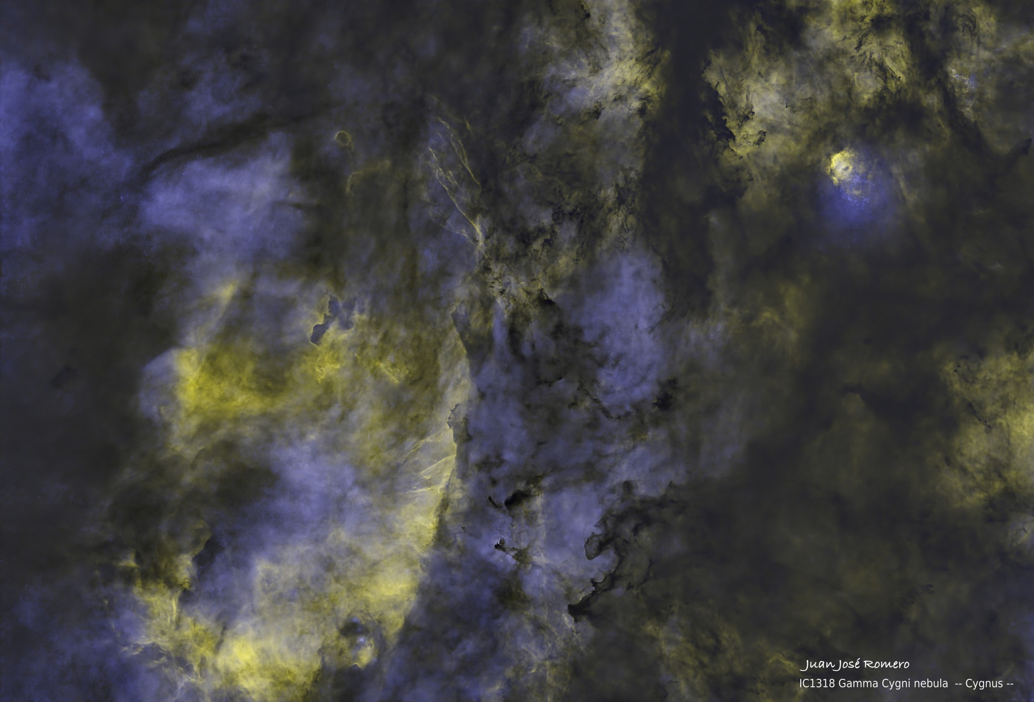 Versió sense estrelles: IC1318 NN – Nebulosa Gamma Cygni (entorn de 37 Cygni)