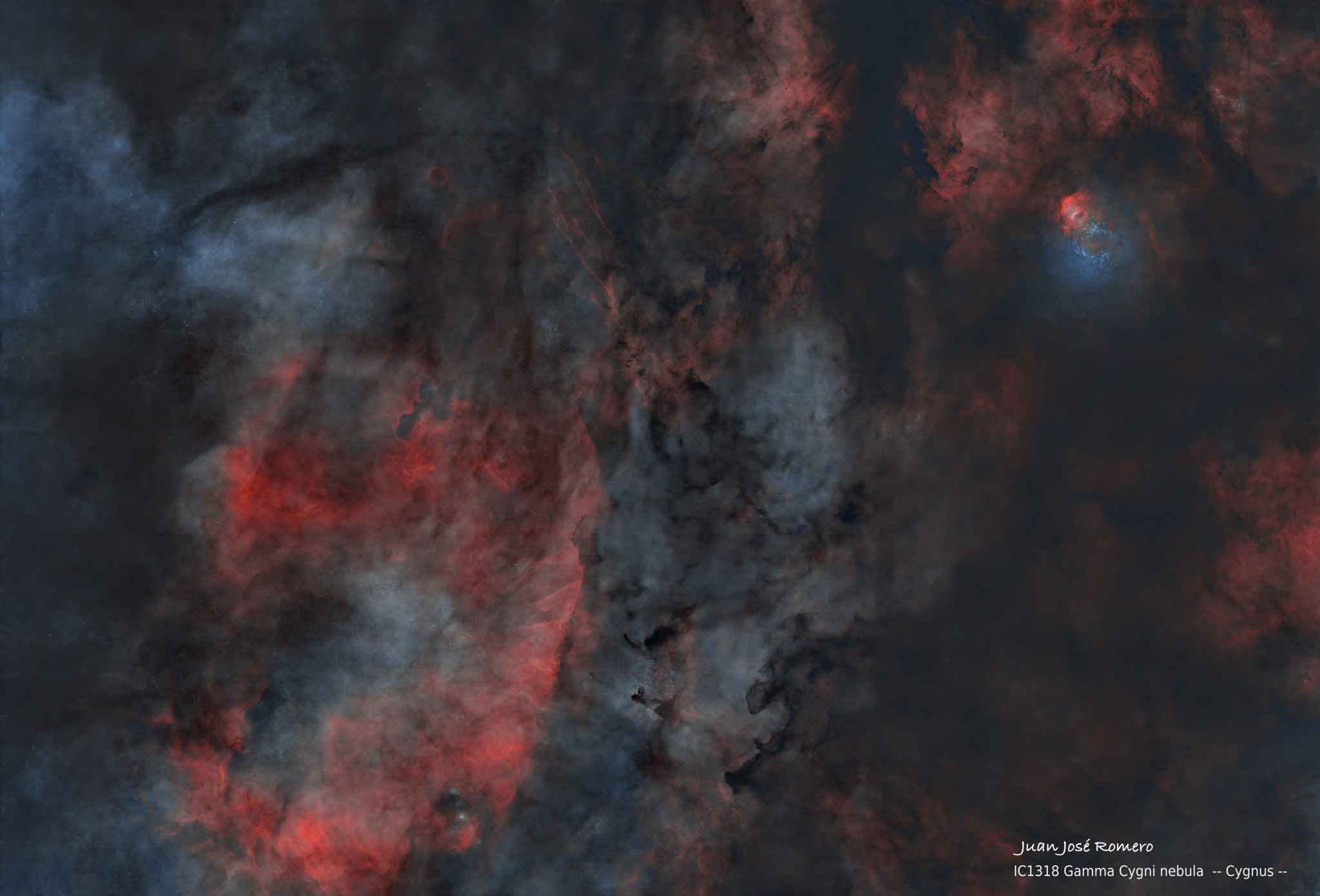 Versió sense estrelles: IC1318 – Nebulosa Gamma Cygni (entorn de 37 Cygni)