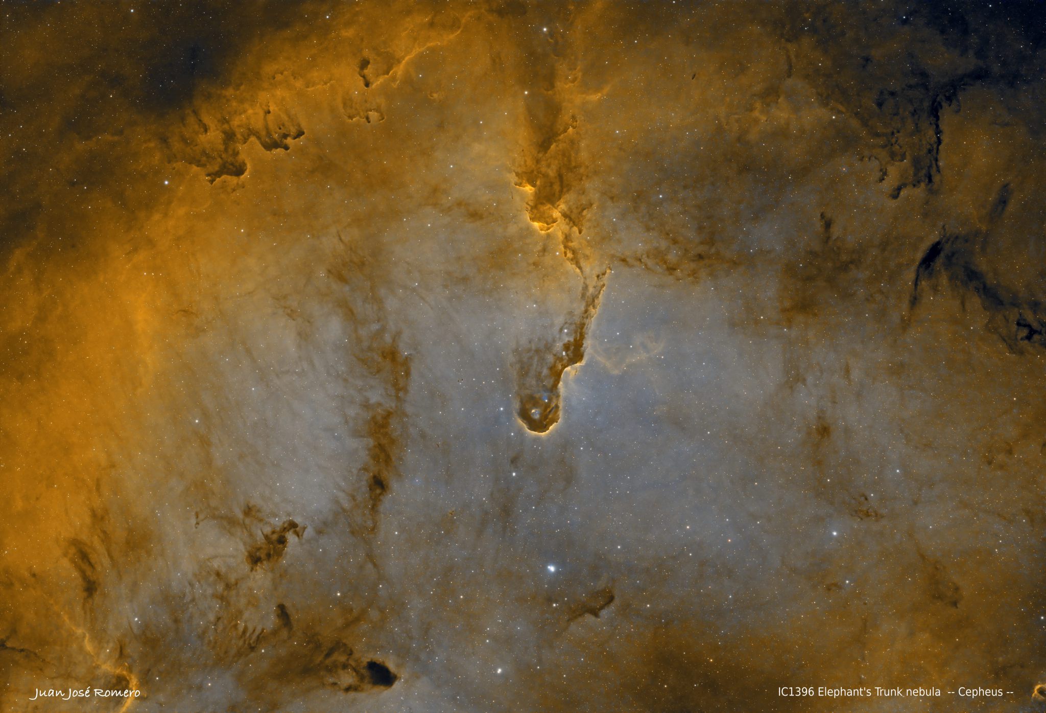 IC1396, Elephant’s Trunk Nebula