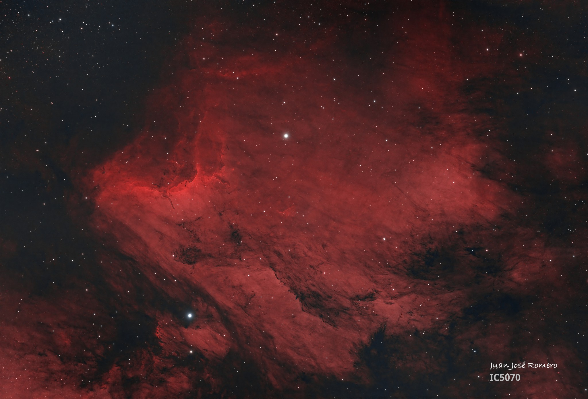 Fotografia astronòmica de IC 5070(HOO) – Nebulosa del Pelicà