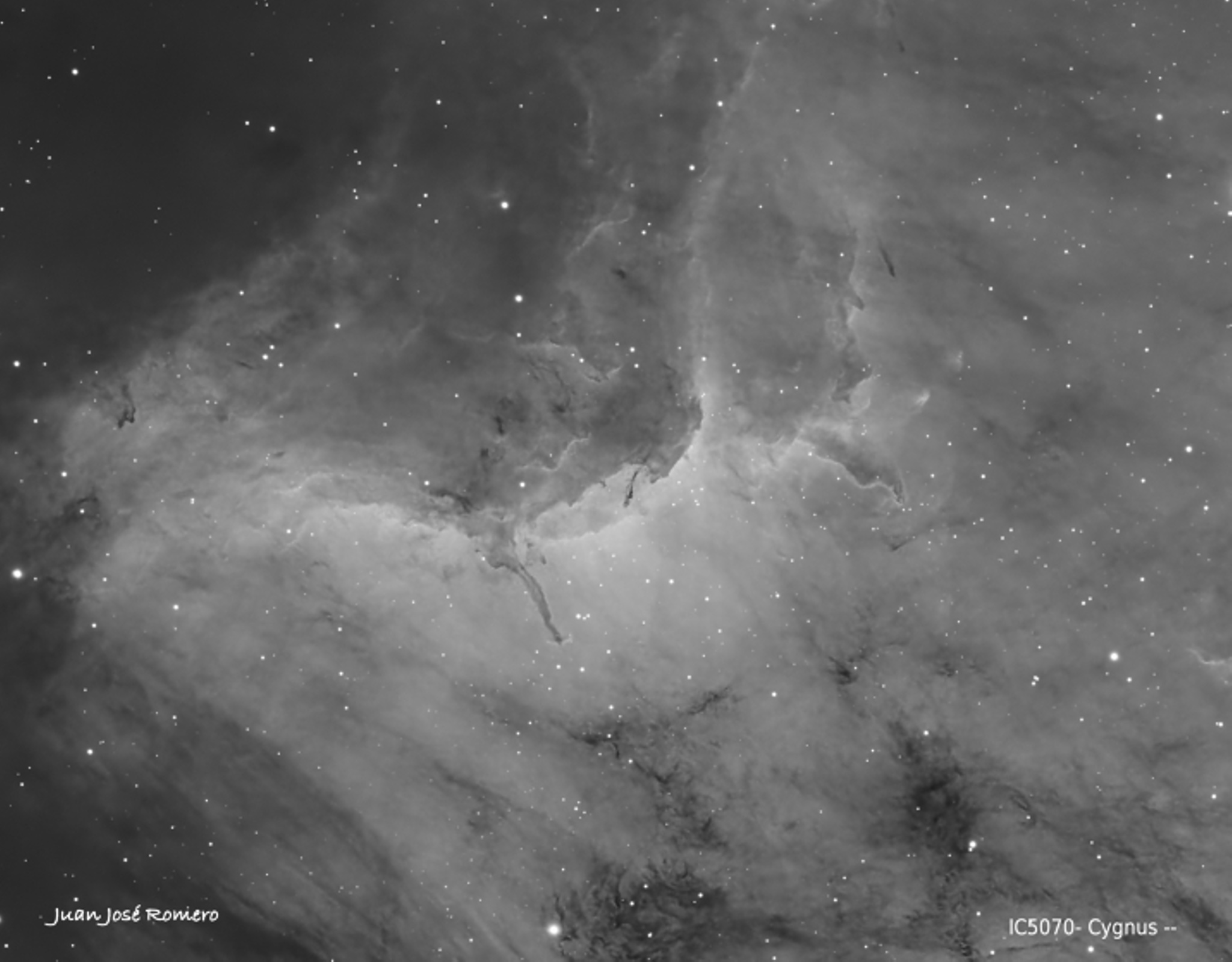 Detall d'IC 5070 en Hα: IC 5070 (Hα) – Nebulosa del Pelicà