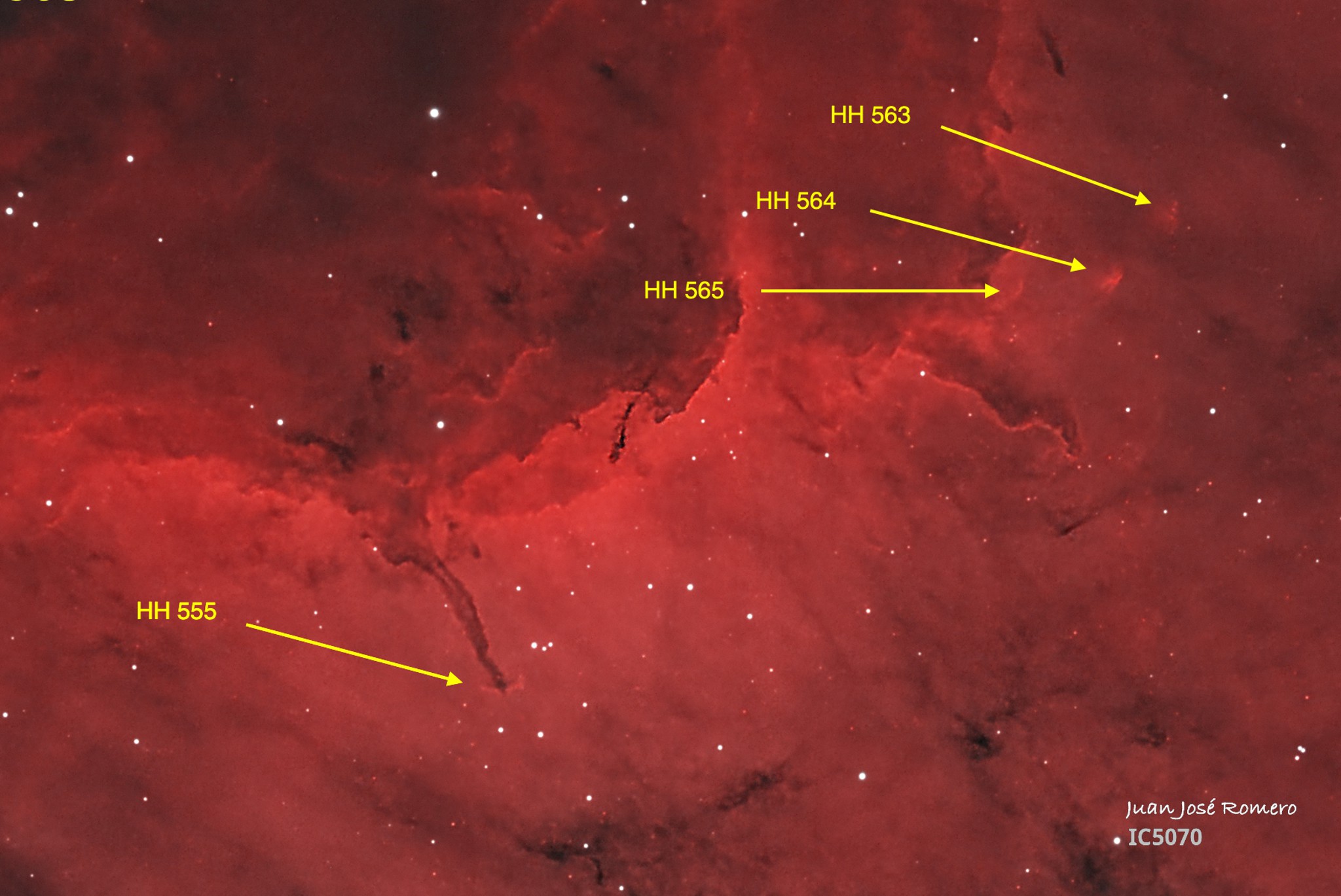 Detall de la regió amb objectes Herbig-Haro: IC 5070(HOO) – Nebulosa del Pelicà