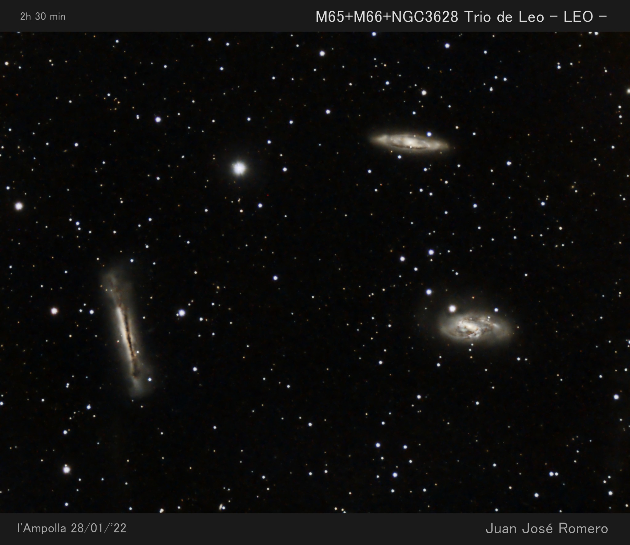 M65 i M66, Galàxies espirals