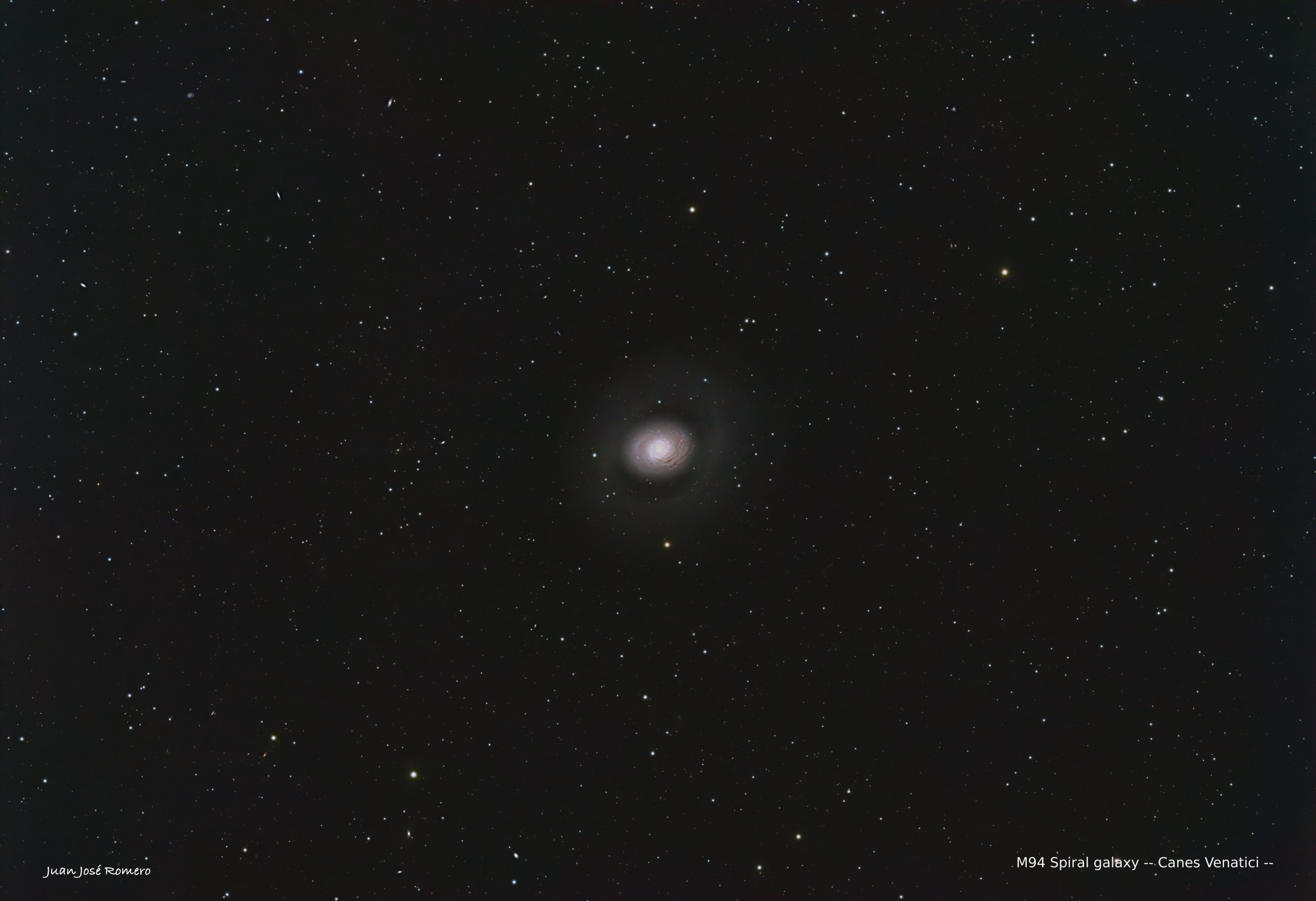 Camp de visió: M94 (NGC4736)