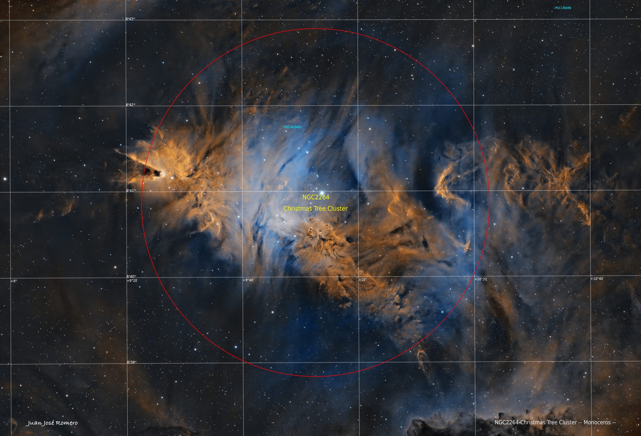 Imatge anotada: NGC2264 – Cúmul de l'Arbre de Nadal i nebulosa del Con