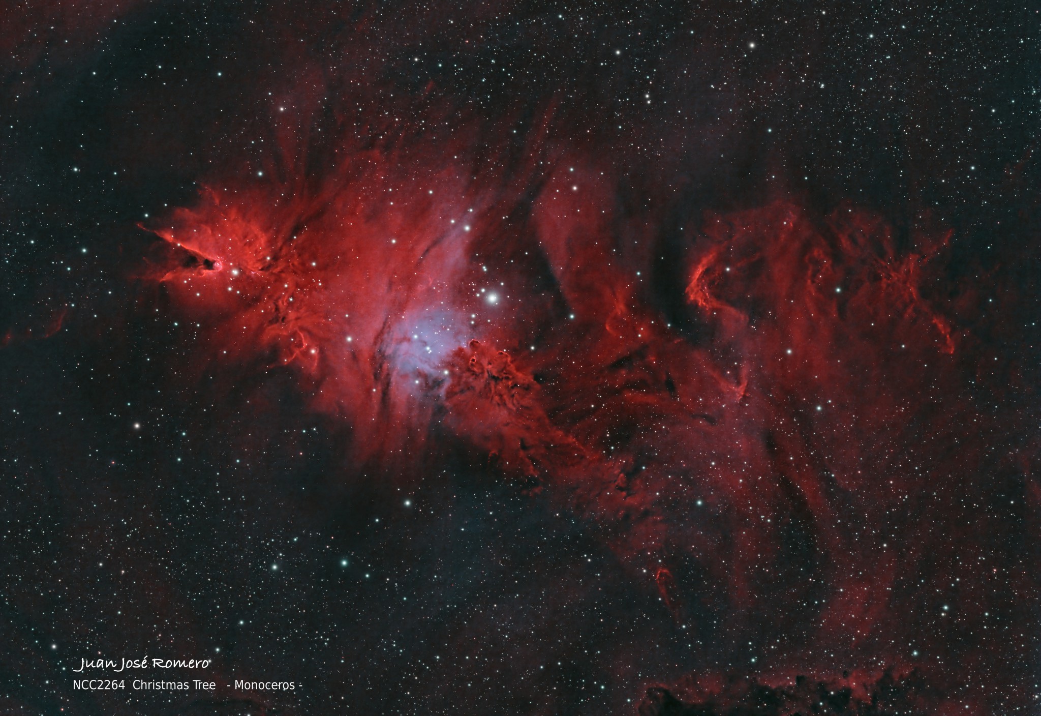 Camp complet en HOO: NGC2264 – Cúmul de l'Arbre de Nadal i nebulosa del Con