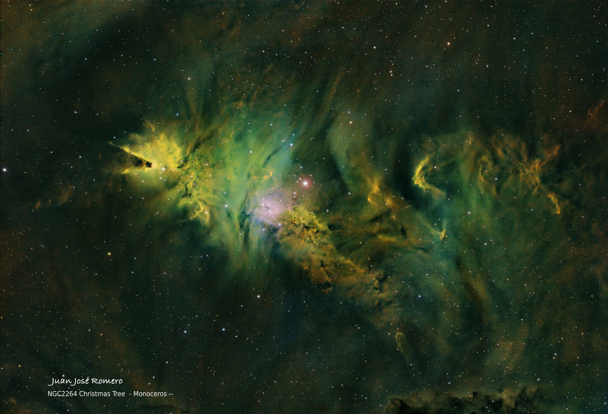 Camp complet en SHO: NGC2264 – Cúmul de l'Arbre de Nadal i nebulosa del Con