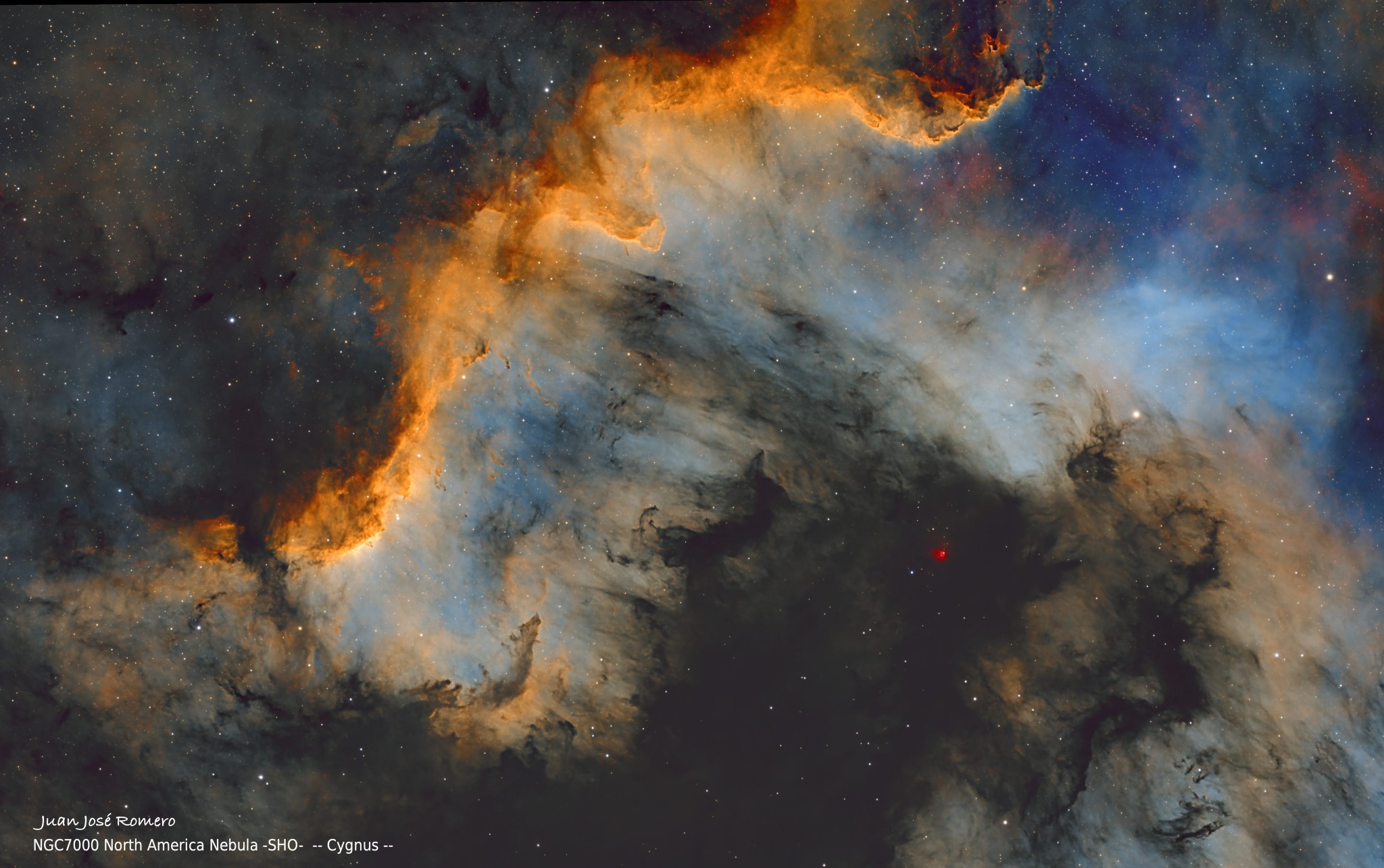 Detall del Mur del Cigne: NGC7000 – Nebulosa d'Amèrica del Nord (SHO)