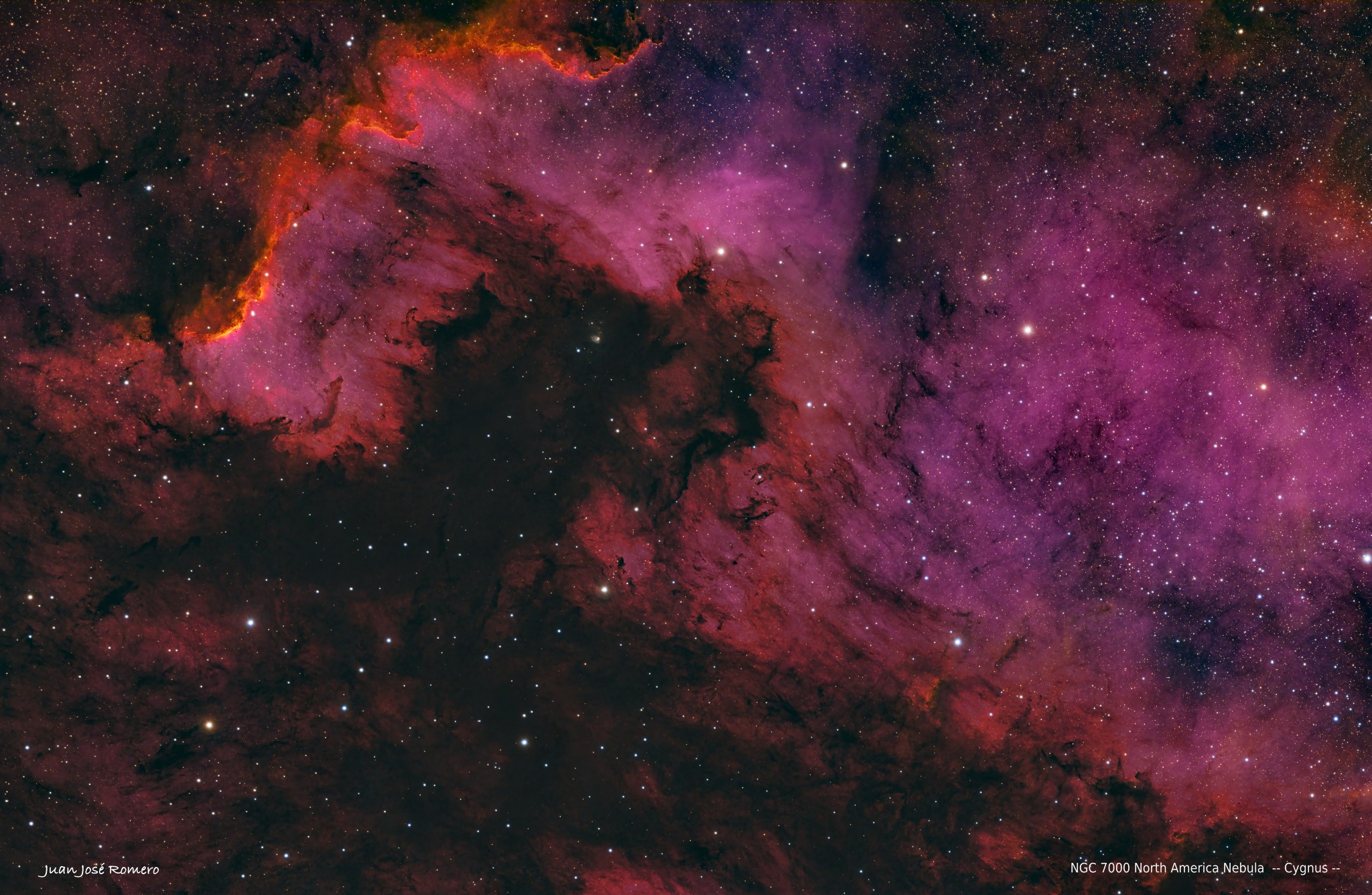 Versió cromàtica alternativa: NGC7000 – Nebulosa d'Amèrica del Nord (SHO)