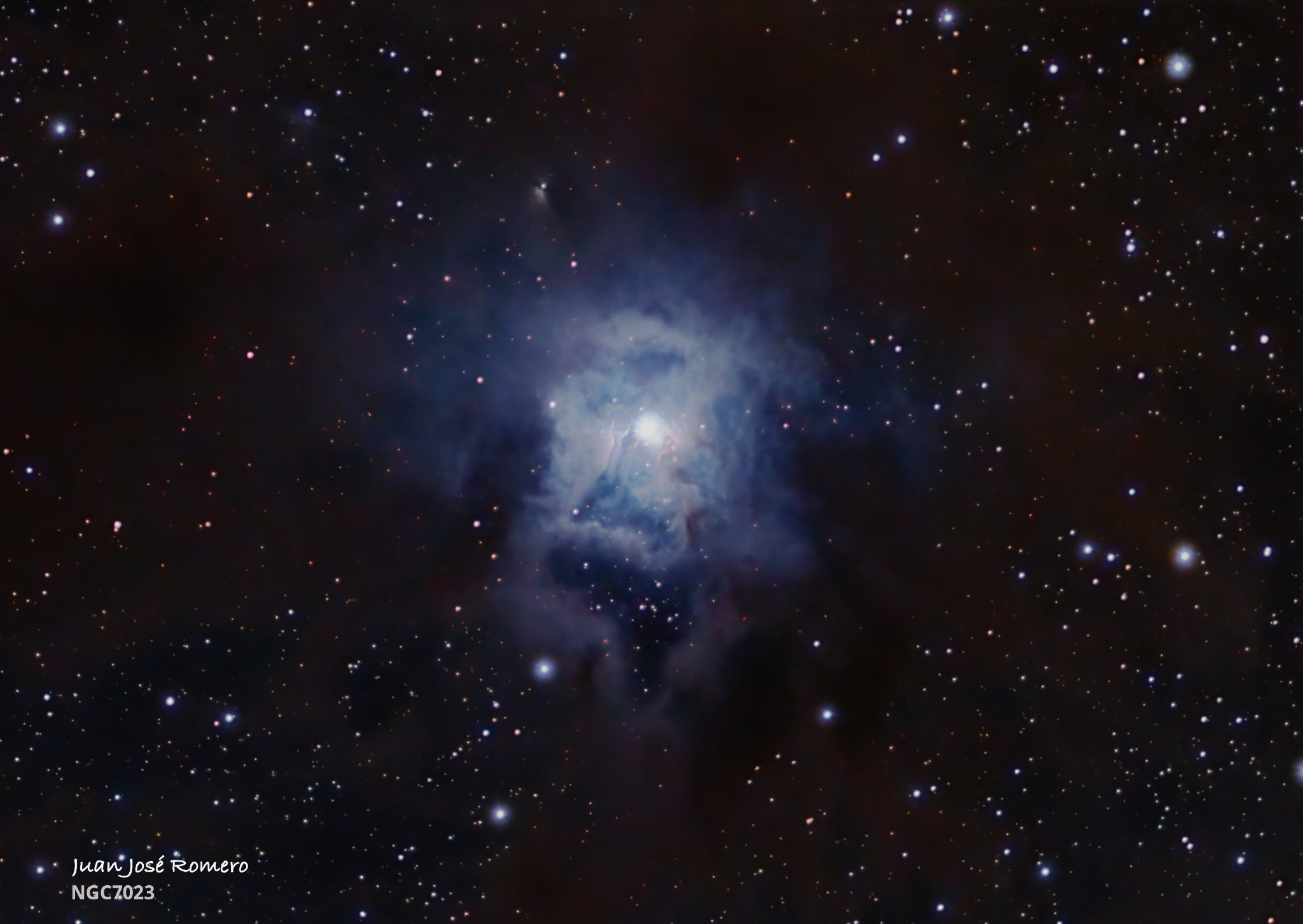 Detall de NGC 7023: NGC 7023 – Nebulosa de l'Iris