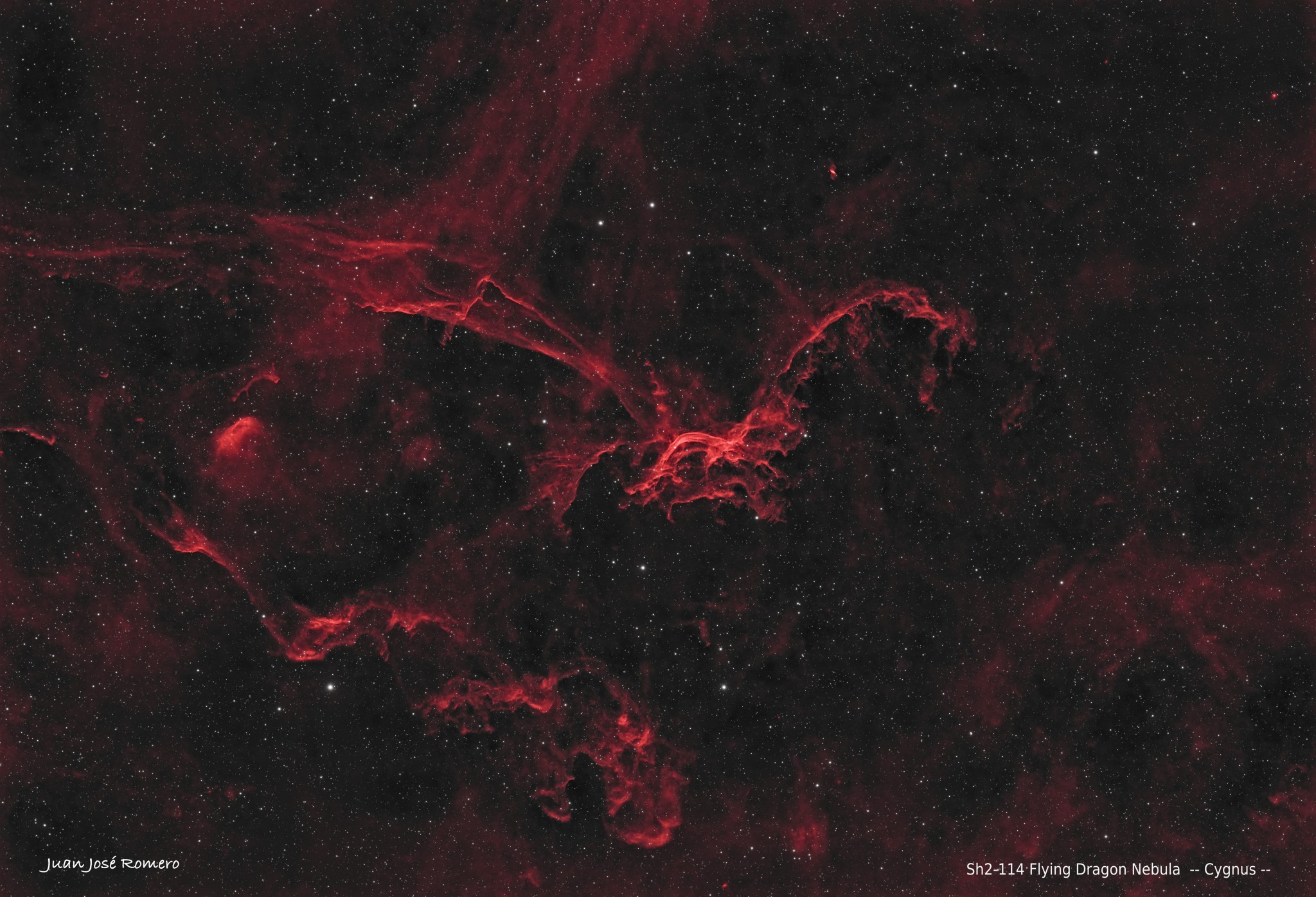 Sh2-114 – Nebulosa del Drac Volador