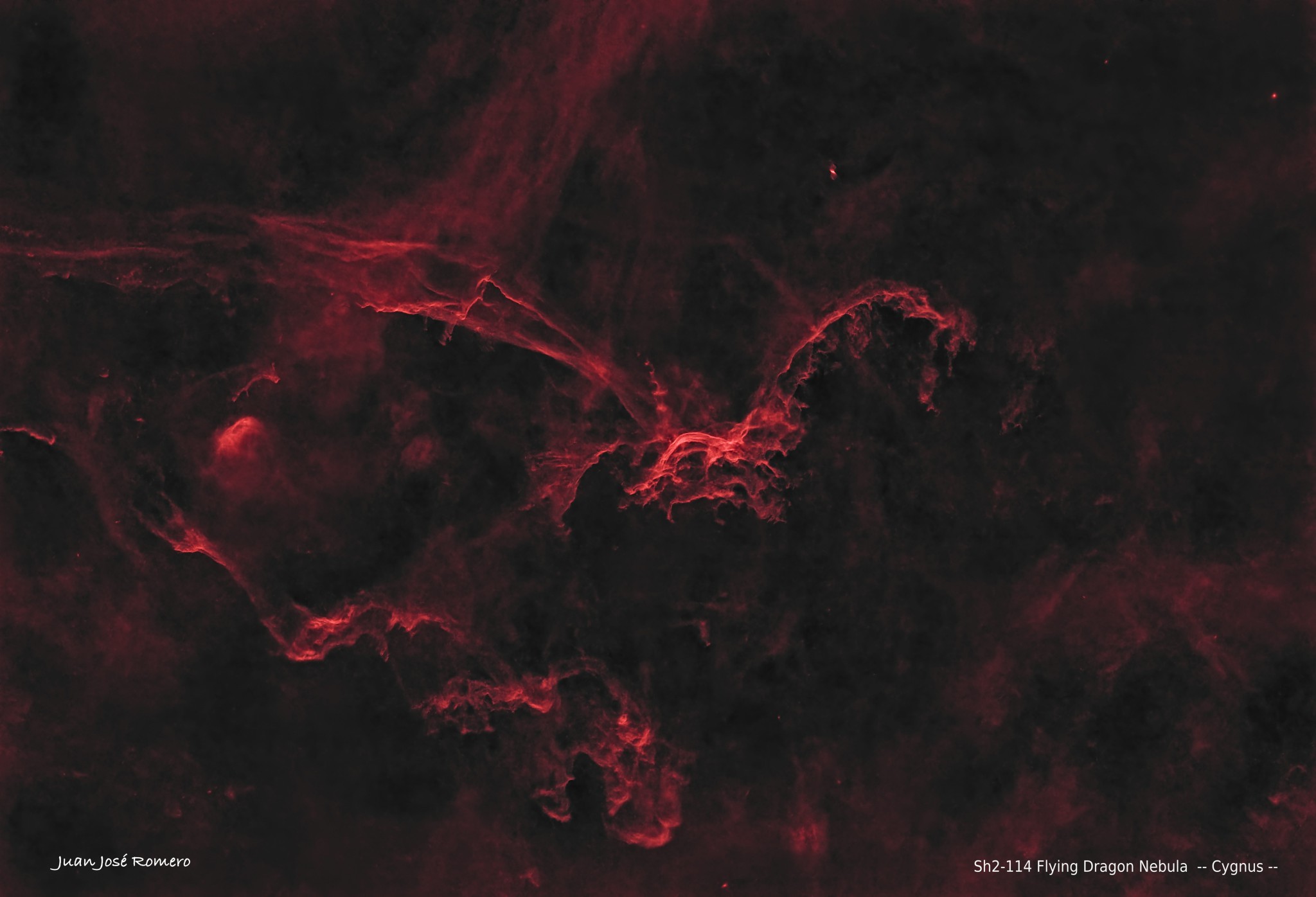 Versió starless: Sh2-114 – Nebulosa del Drac Volador