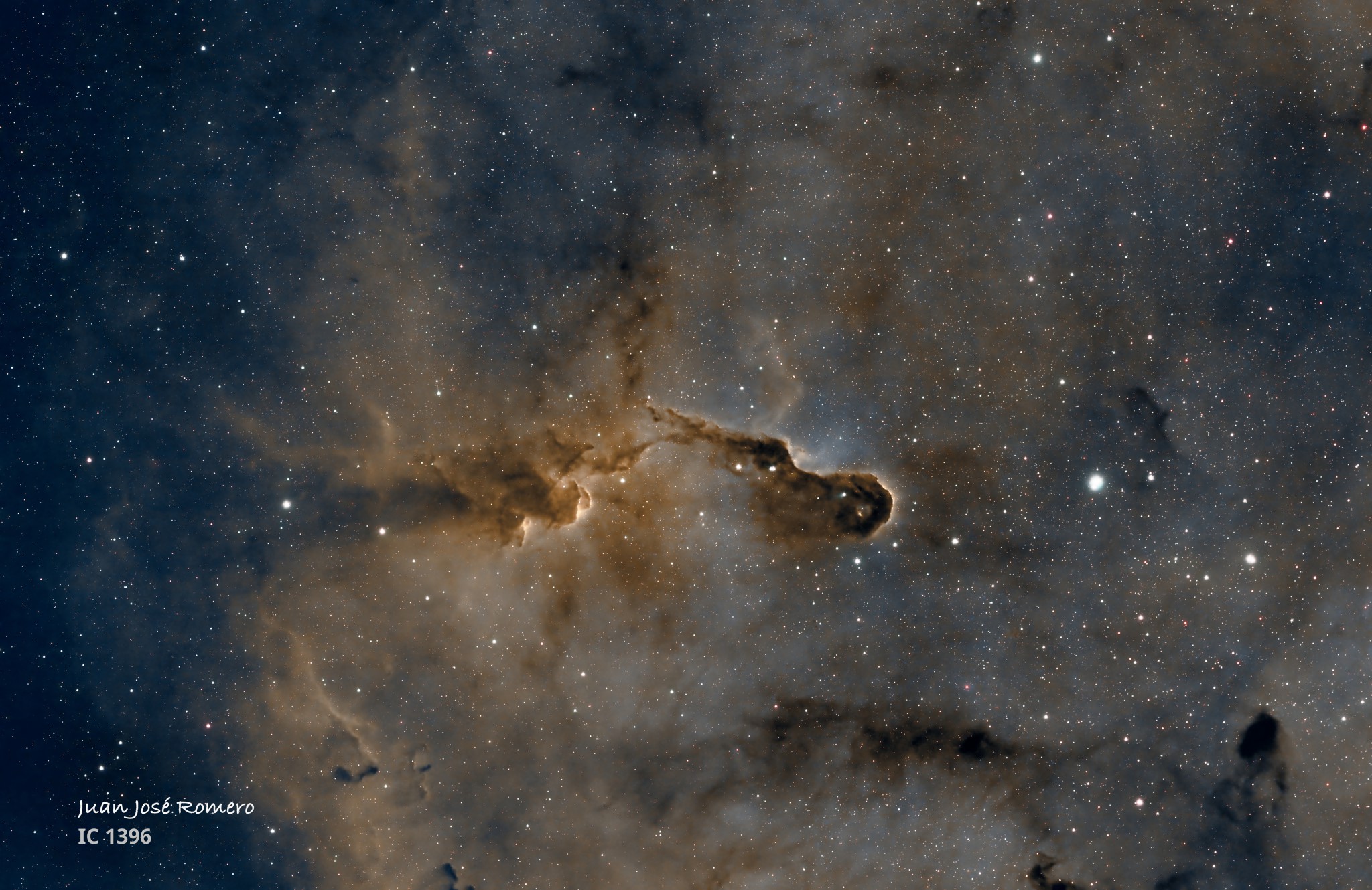 Fotografia astronòmica de IC1396 NN – Nebulosa de la Trompa d'Elefant