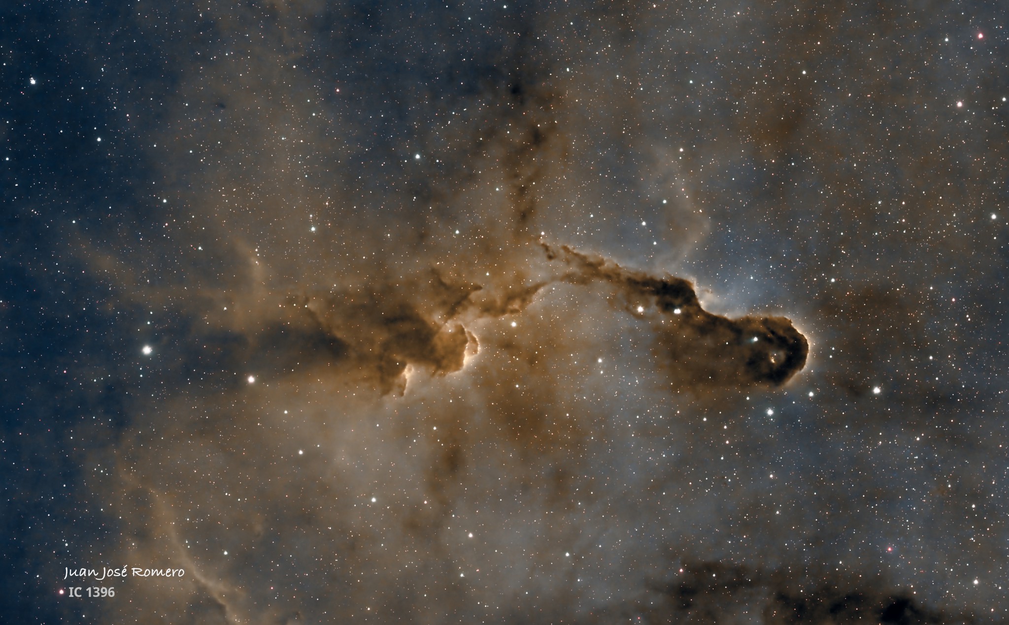Retall de la Nebulosa de la Trompa d'Elefant: IC1396 NN – Nebulosa de la Trompa d'Elefant